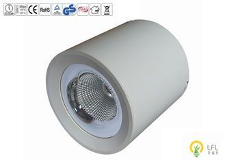Iluminación exterior LED comercial Lumen 10000lm Consumo de energía 30W CRI 80 para entornos exteriores
